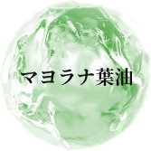 マヨラナ葉油
